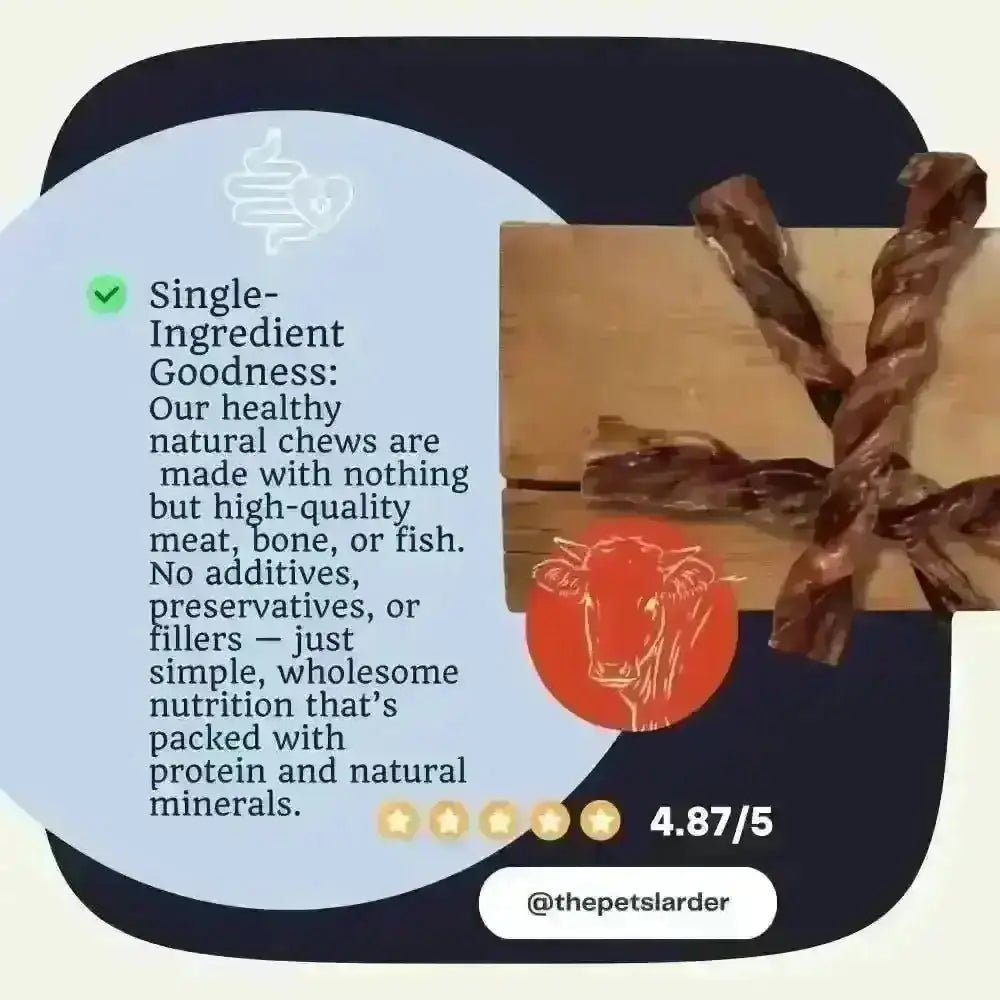 British Twisted Pizzle: twisted bull pizzle chew treat in wooden box
