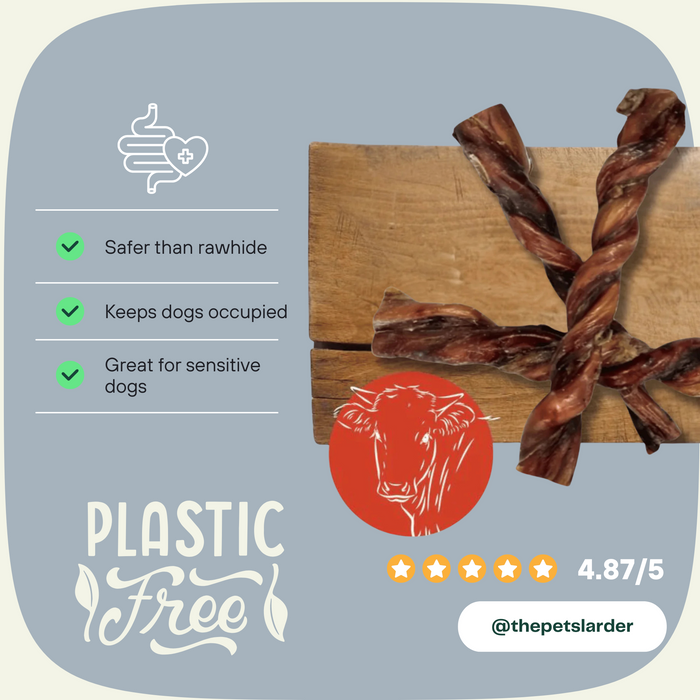 British Twisted Pizzle - Natural Dog Chew