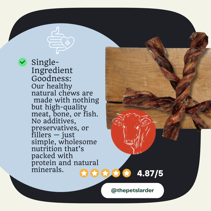 British Twisted Pizzle - Natural Dog Chew