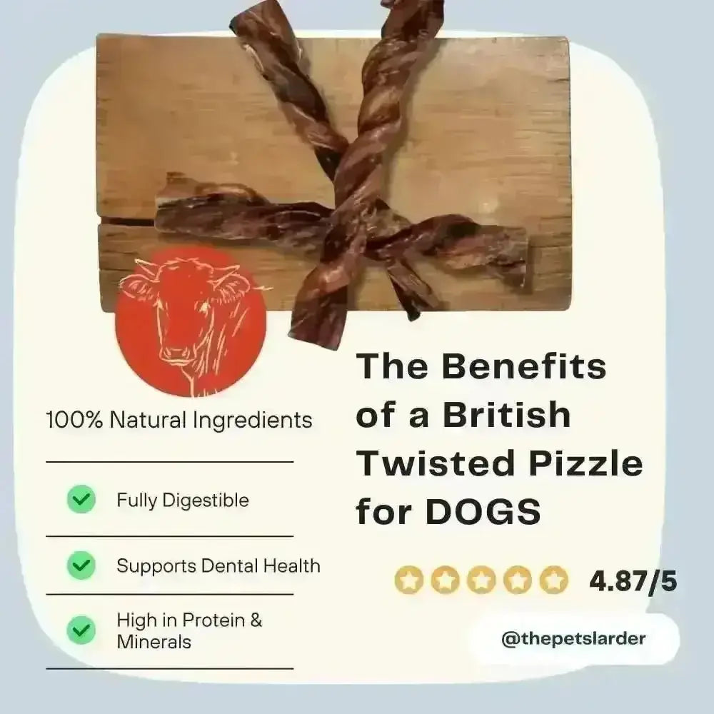 British Twisted Bull Pizzle Dog Treat in Brown and Beige Hues