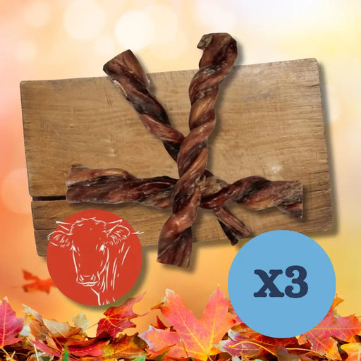 British Twisted Pizzle x 3 - Natural Dog Chew
