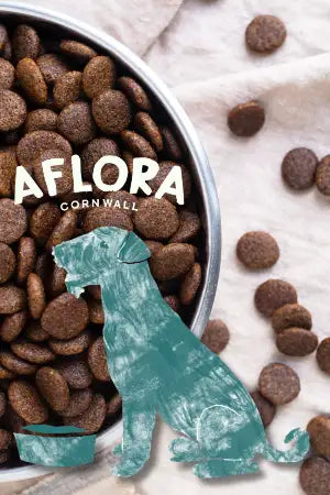 Brown kibble in a metal bowl with teal dog silhouette graphic.