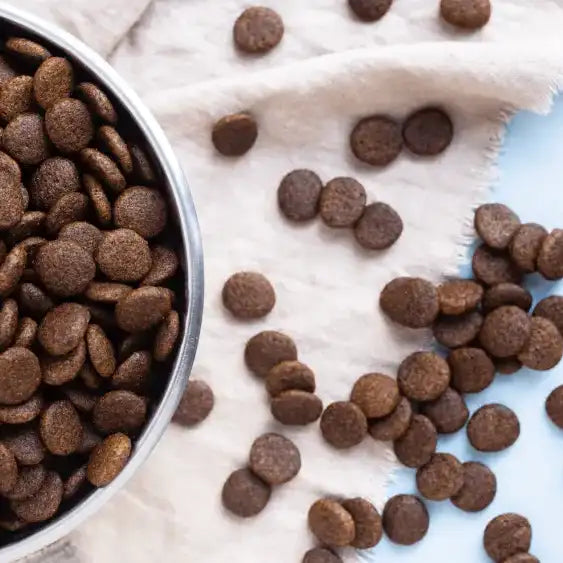 Brown, round kibble pellets in a metallic bowl.