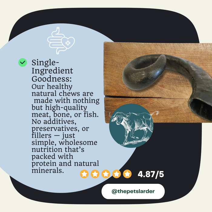 Buffalo Horn