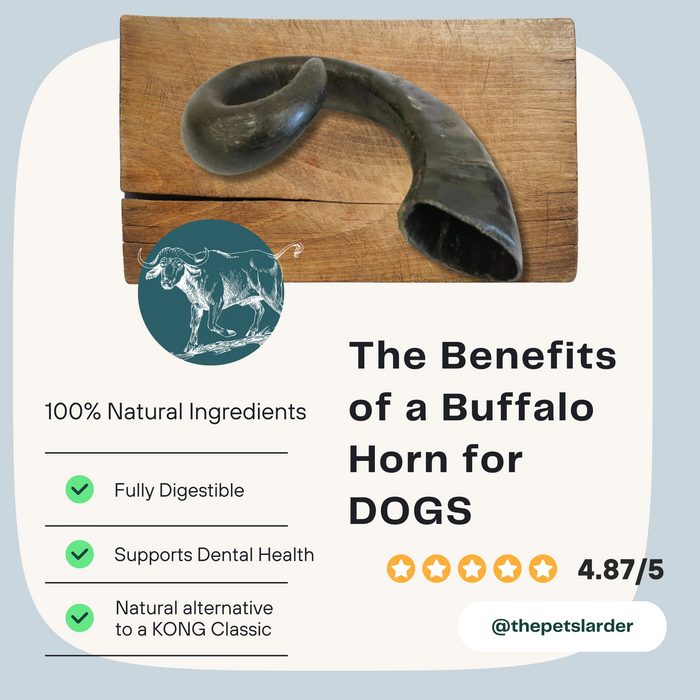 Buffalo Horn