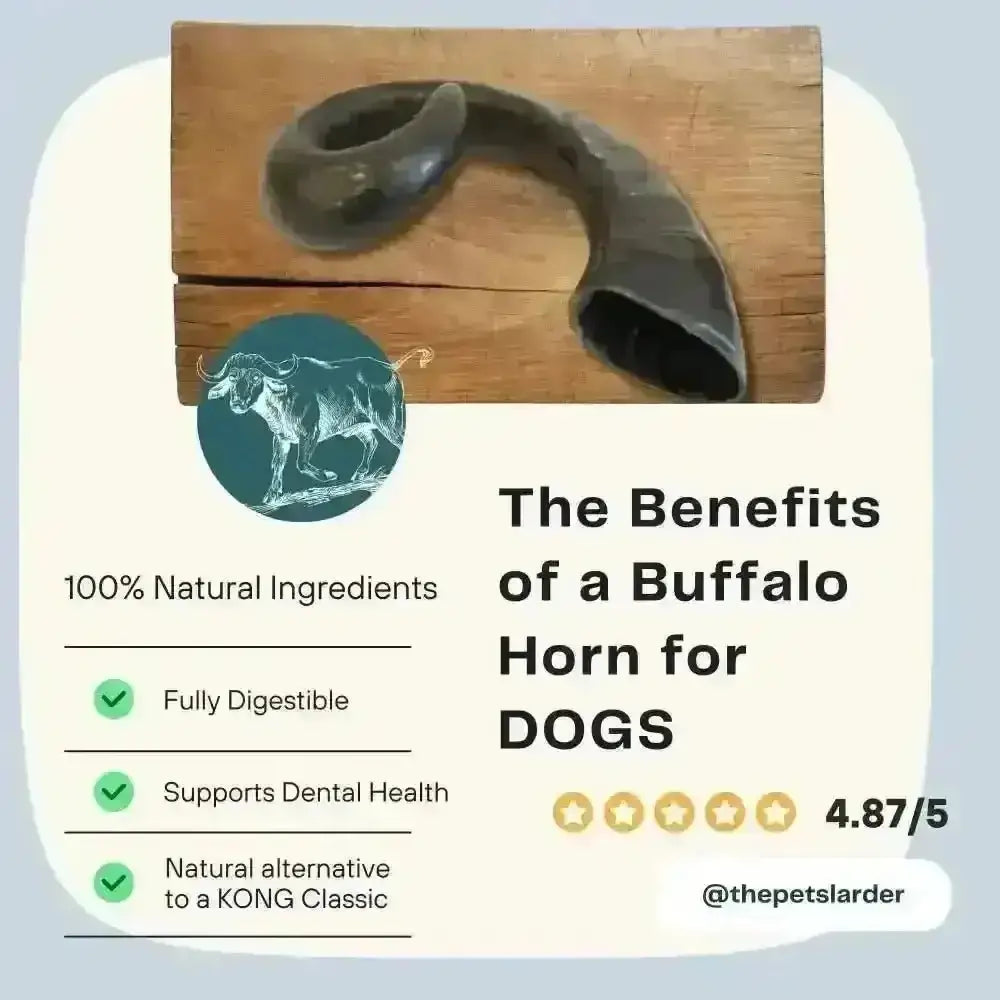 Natural buffalo horn chew toy for dogs with green benefits checkmark