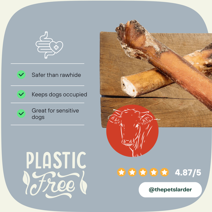 Bull Pizzle - Natural Dog Chew