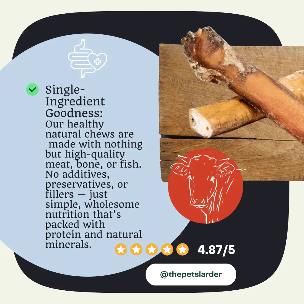 Natural beef bone chews for pets with textured surface, durable bull pizzles for dog entertained