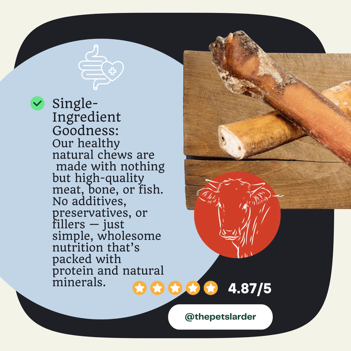 Bull Pizzle - Natural Dog Chew