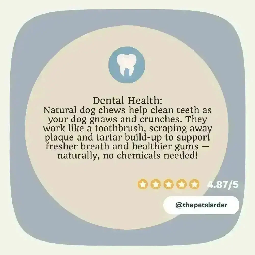 Natural Bull Pizzle dog chew with dental care, blue tooth icon, and star rating