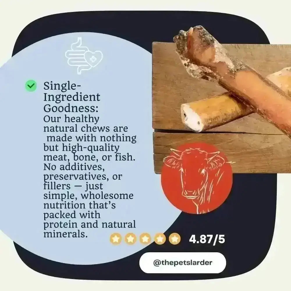 Natural beef bone chews for pets with textured surface, durable bull pizzles for dog entertained