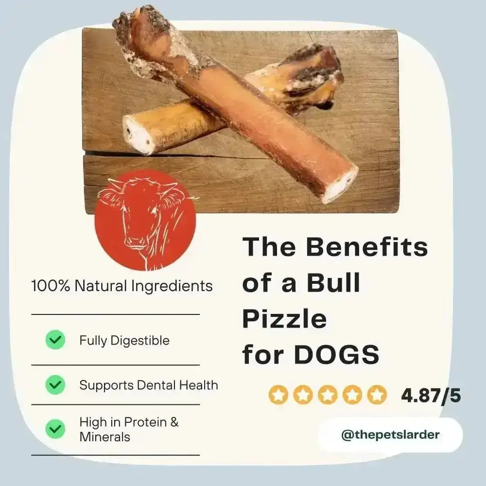 Natural bull pizzles dog treat with textured surface, ideal as a natural alternative to entertain dogs