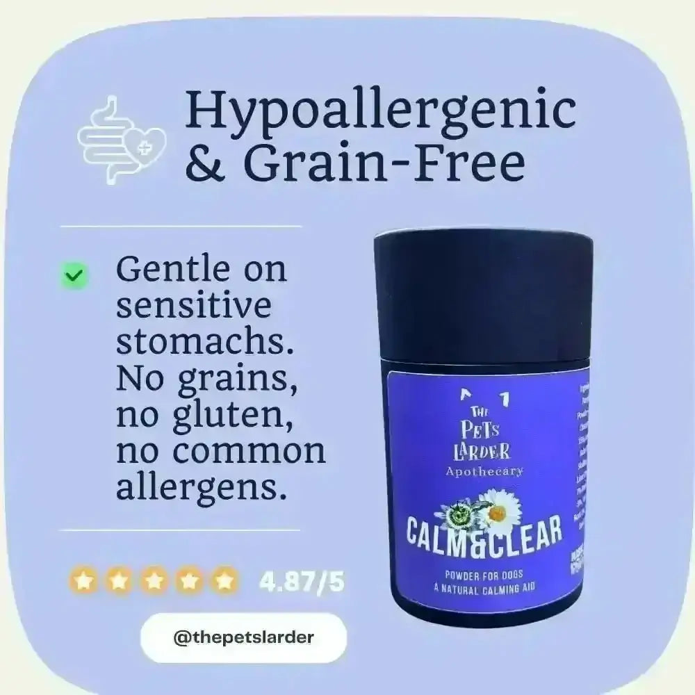 Lavender powder bottle with dark blue cap for natural herbal calming for dogs