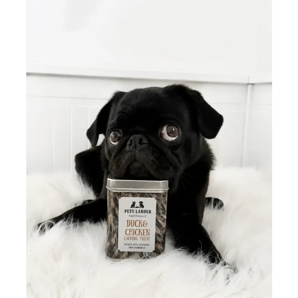 Calming Duck & Chicken Cat Dog Treats - Natural for Dogs | Pet Shop