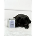 The Pets Larder Calming Duck & Chicken Treats for Dogs | Natural dog treats