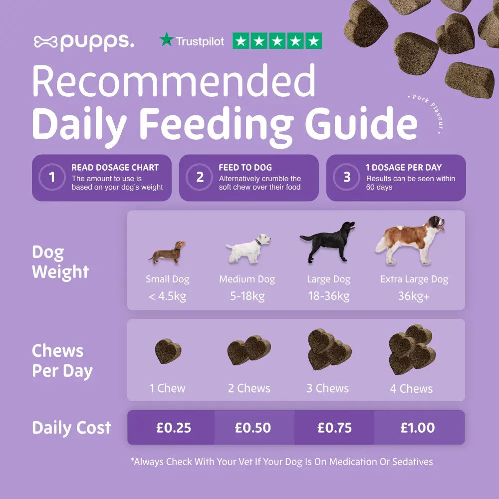 Calming Treats - Calming Treats