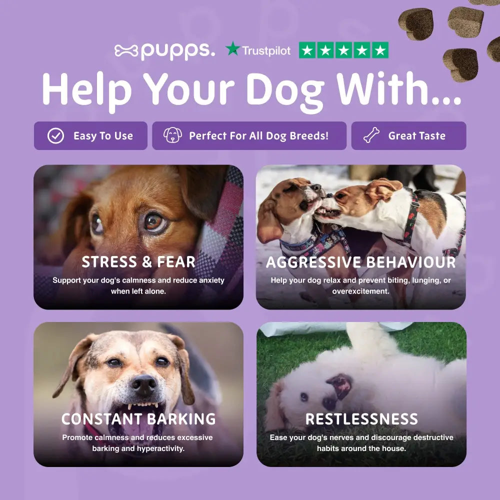 Calming Treats - Calming Treats