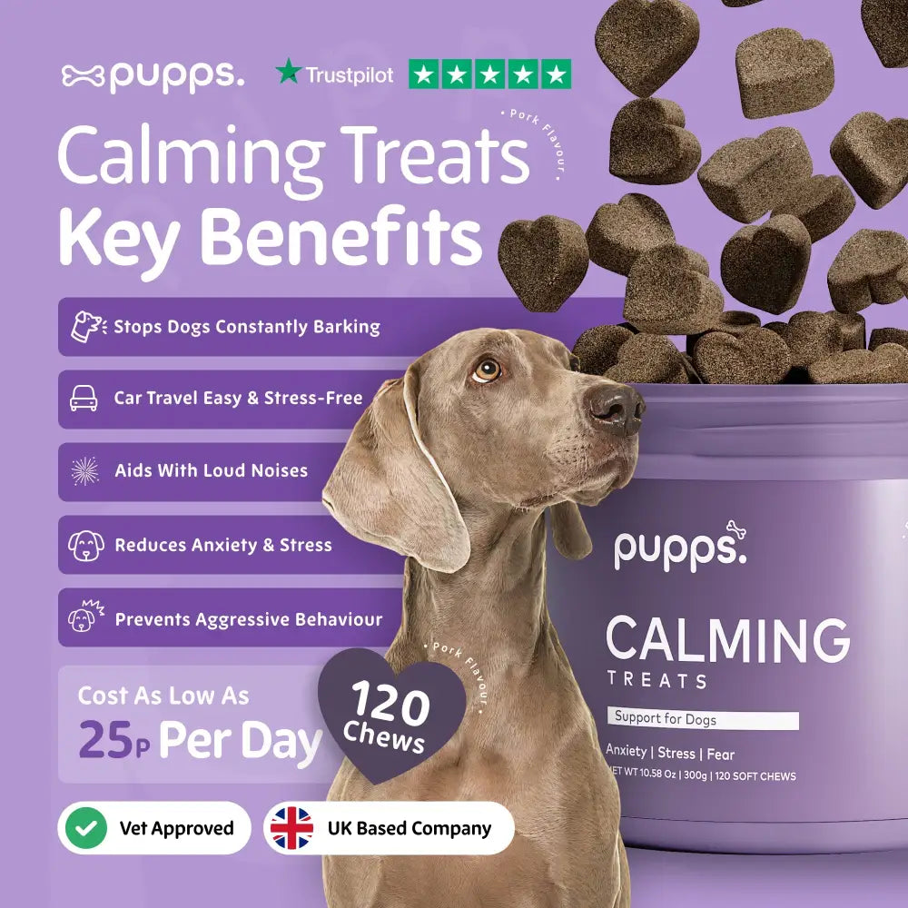 Calming Treats - Calming Treats