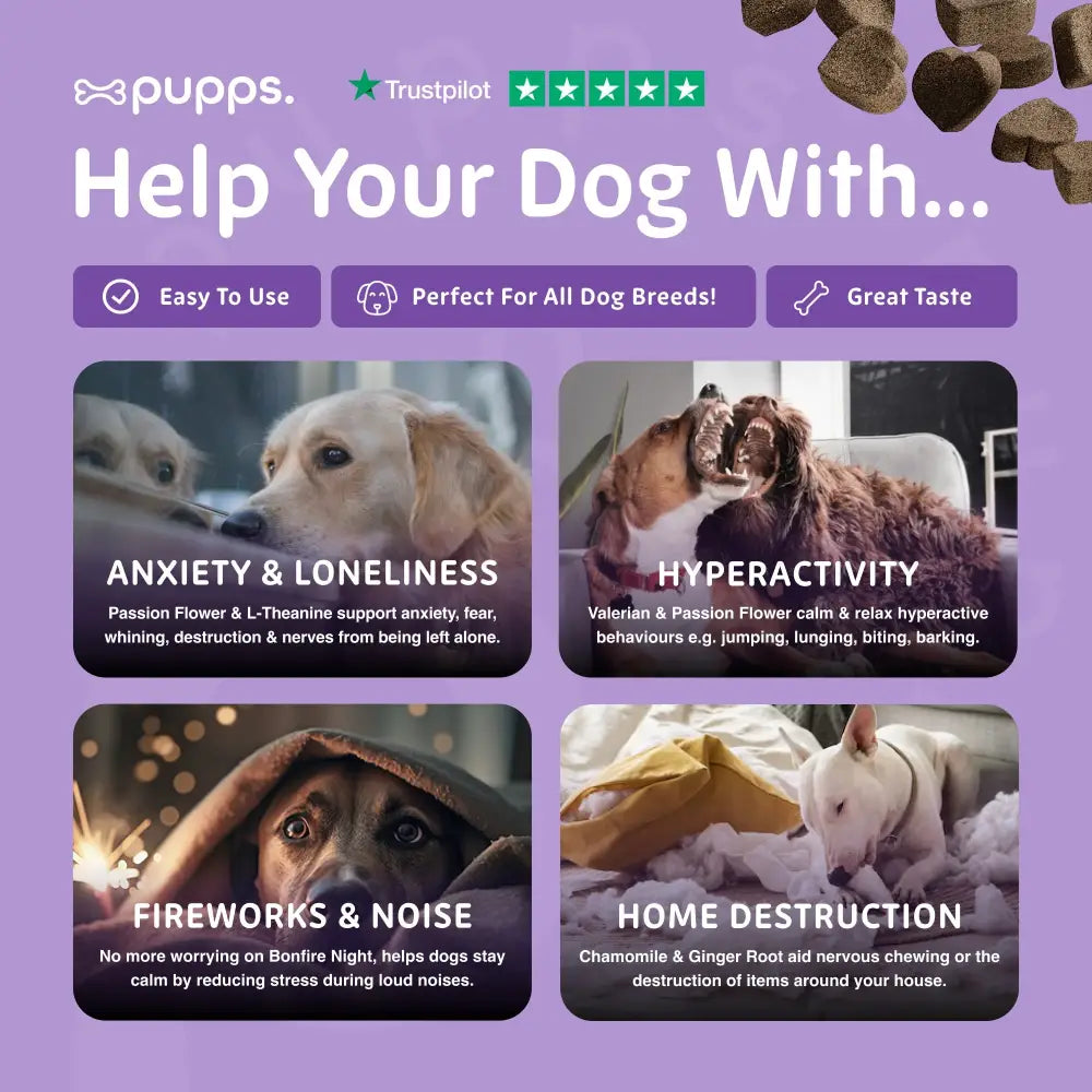 Calming Treats - Calming Treats
