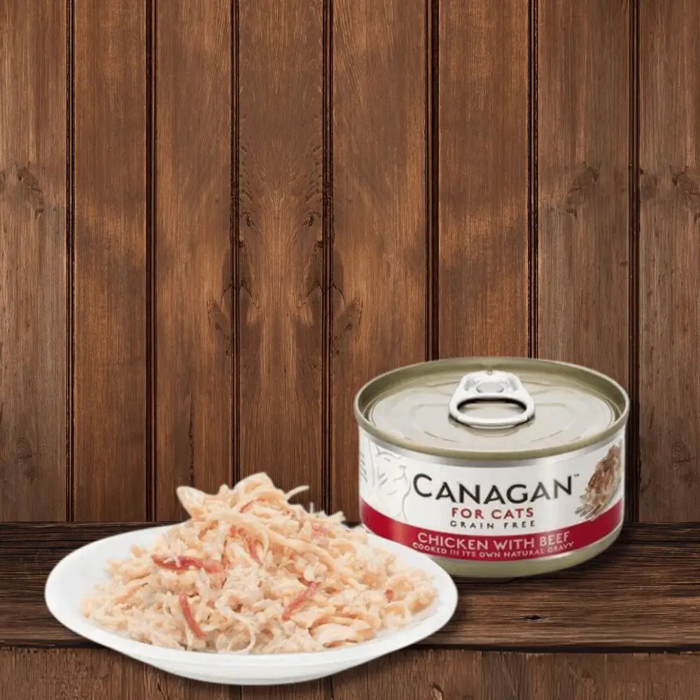 Canagan cat food can with chicken and beef flavor, tender shredded chicken on white plate