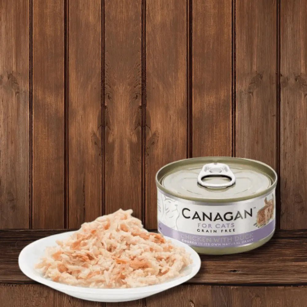 Canagan Cat Food Can with Salmon offers a highly nutritious complete wet cat food to accompany dry food