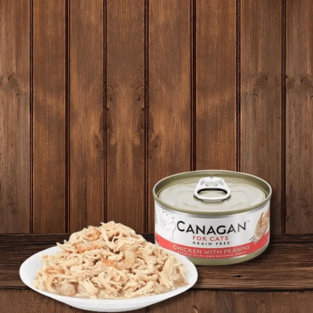 Canagan grain-free cat food can with shredded chicken and pawpaw, highly nutritious complete