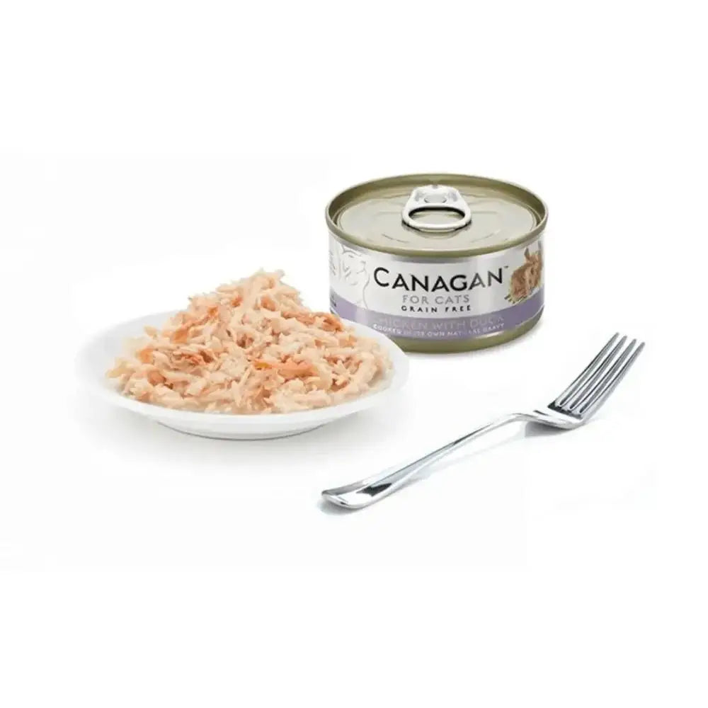 Canagan Cat Food Can with Salmon flavor, a highly nutritious complete cat food to accompany dry food