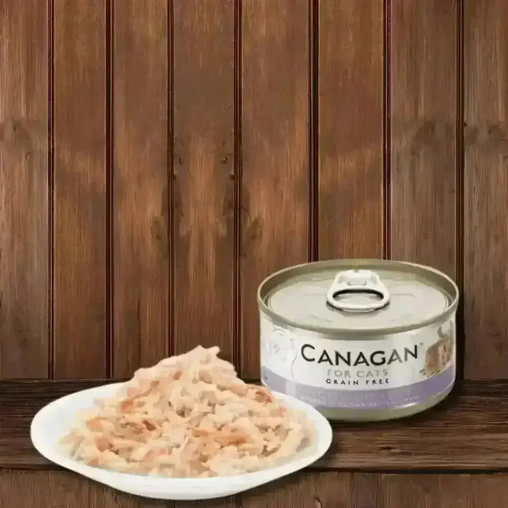Canagan Cat Food Can with Salmon offers a highly nutritious complete wet cat food to accompany dry food