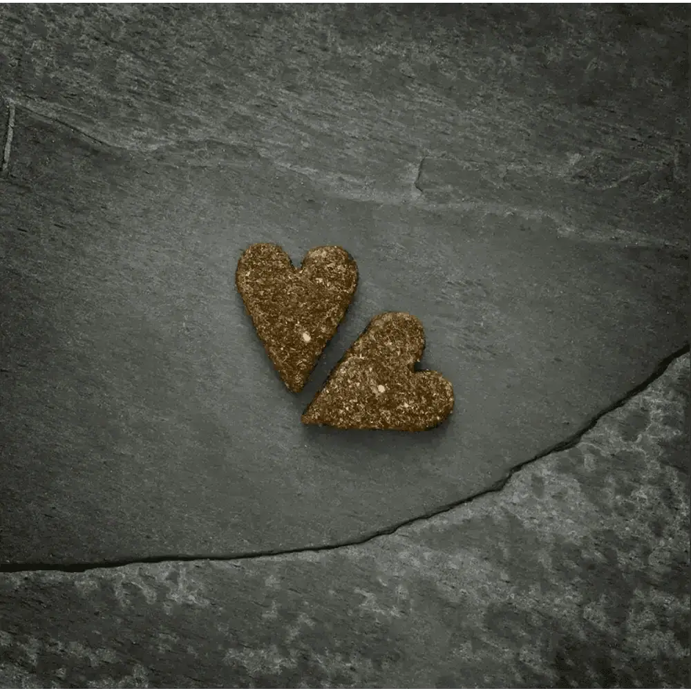 Golden glitter heart-shaped ornaments on slate surface with Canagan Chicken Softies For Dogs 200g