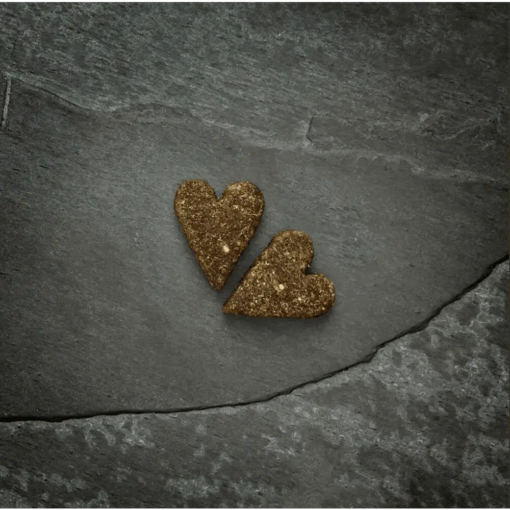 Golden glitter heart-shaped ornaments on slate surface with Canagan Chicken Softies For Dogs 200g