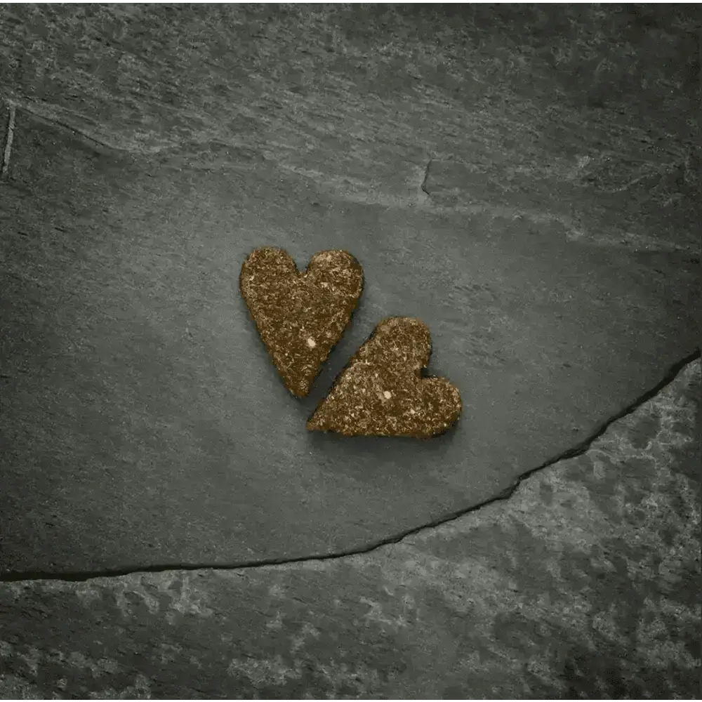 Golden glitter heart-shaped ornaments on slate surface with Canagan Chicken Softies For Dogs 200g
