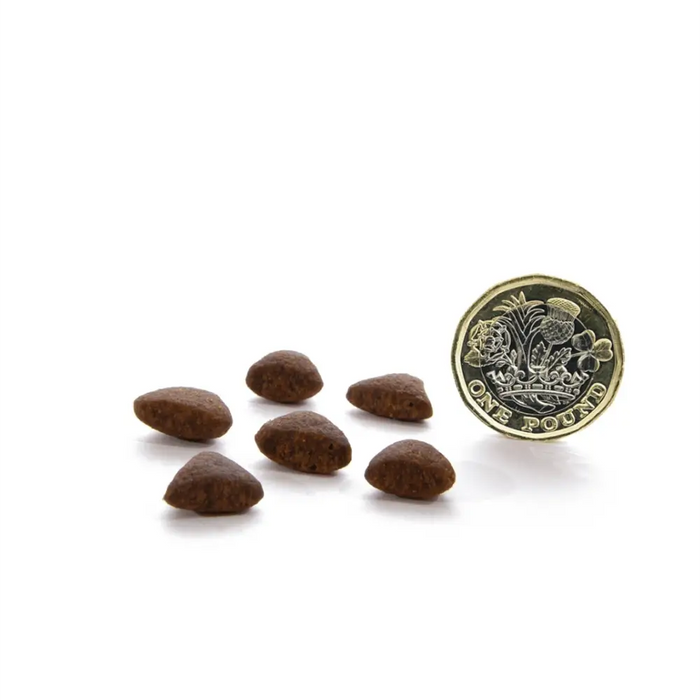 Canagan Dry Cat Food Country Game Natural Dry Cat Food