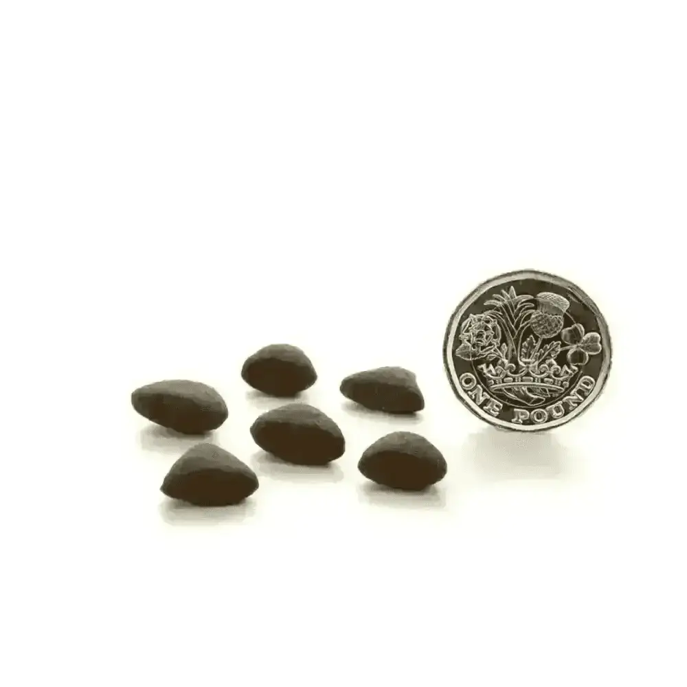 Glossy dark brown chocolate almond-shaped Canagan Country Game cat food treats, grain free with digestible protein