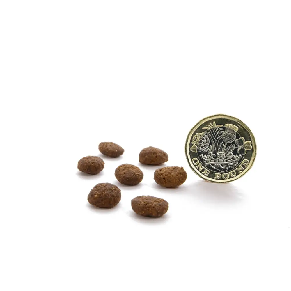 Canagan Dry Cat Food Dental Natural Dry Cat Food