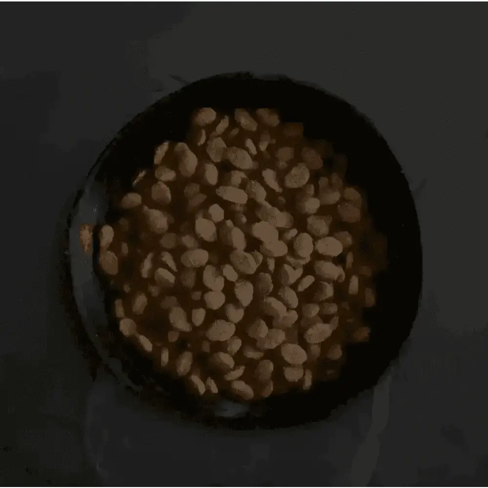 Canagan Country Game dog food with freshly prepared duck and grain free nutrition in black bowl