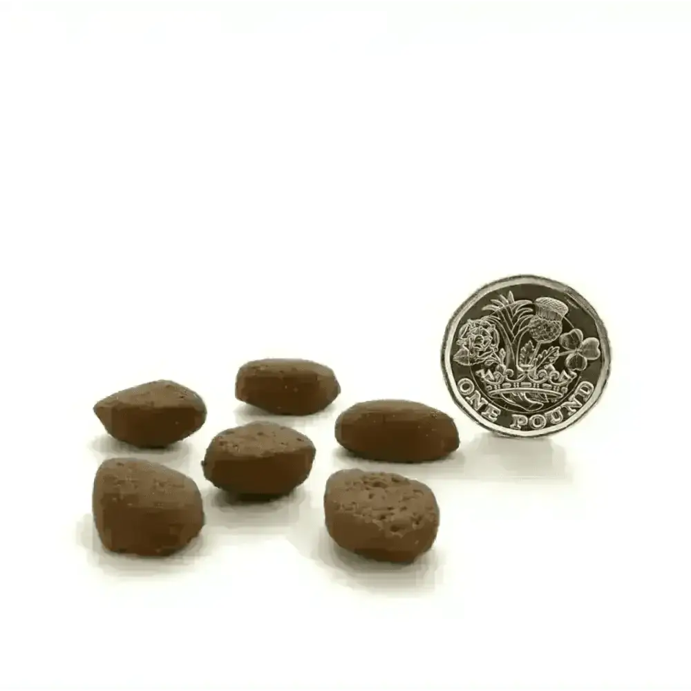Canagan Country Game dog food pellets with 1 lb coin for scale