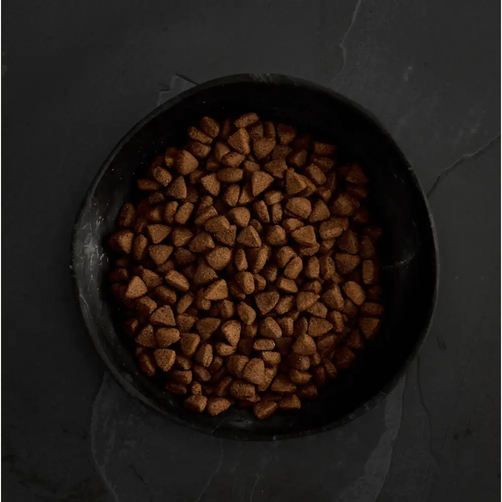 Black bowl of dried fruit pieces for Canagan Dry Dog Food Free-Range Chicken dog food