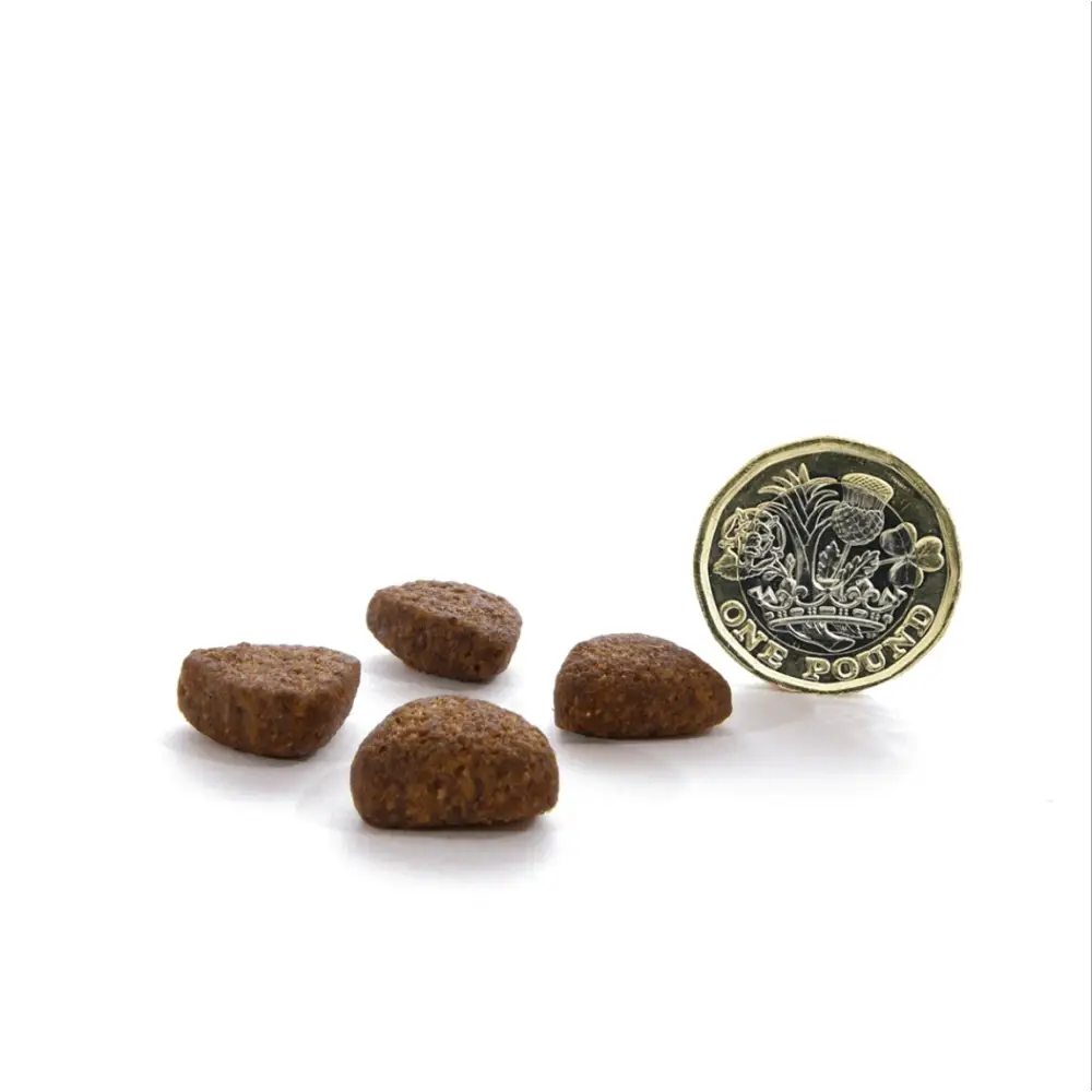 Brown textured dog treats resembling small stones for Canagan Dry Dog Food Free-Range Chicken