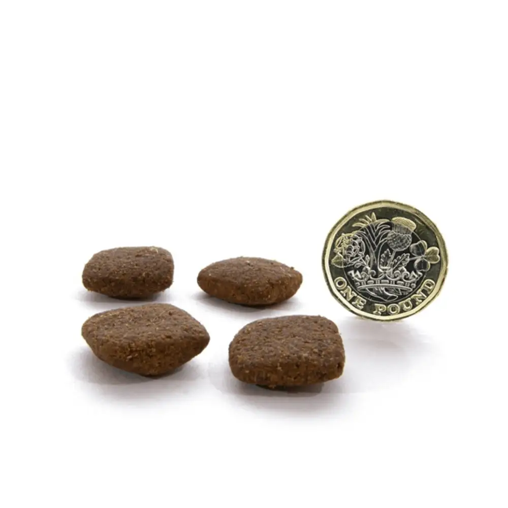 Brown textured dog treats resembling biscuits from Canagan Dry Dog Food with grass fed lamb