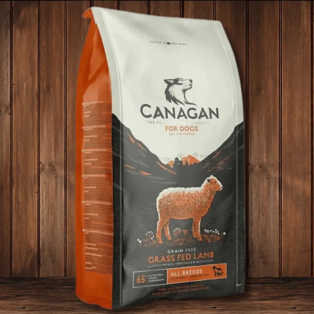 Canagan grain-free grass-fed lamb dog food bag for healthy, natural dog food options