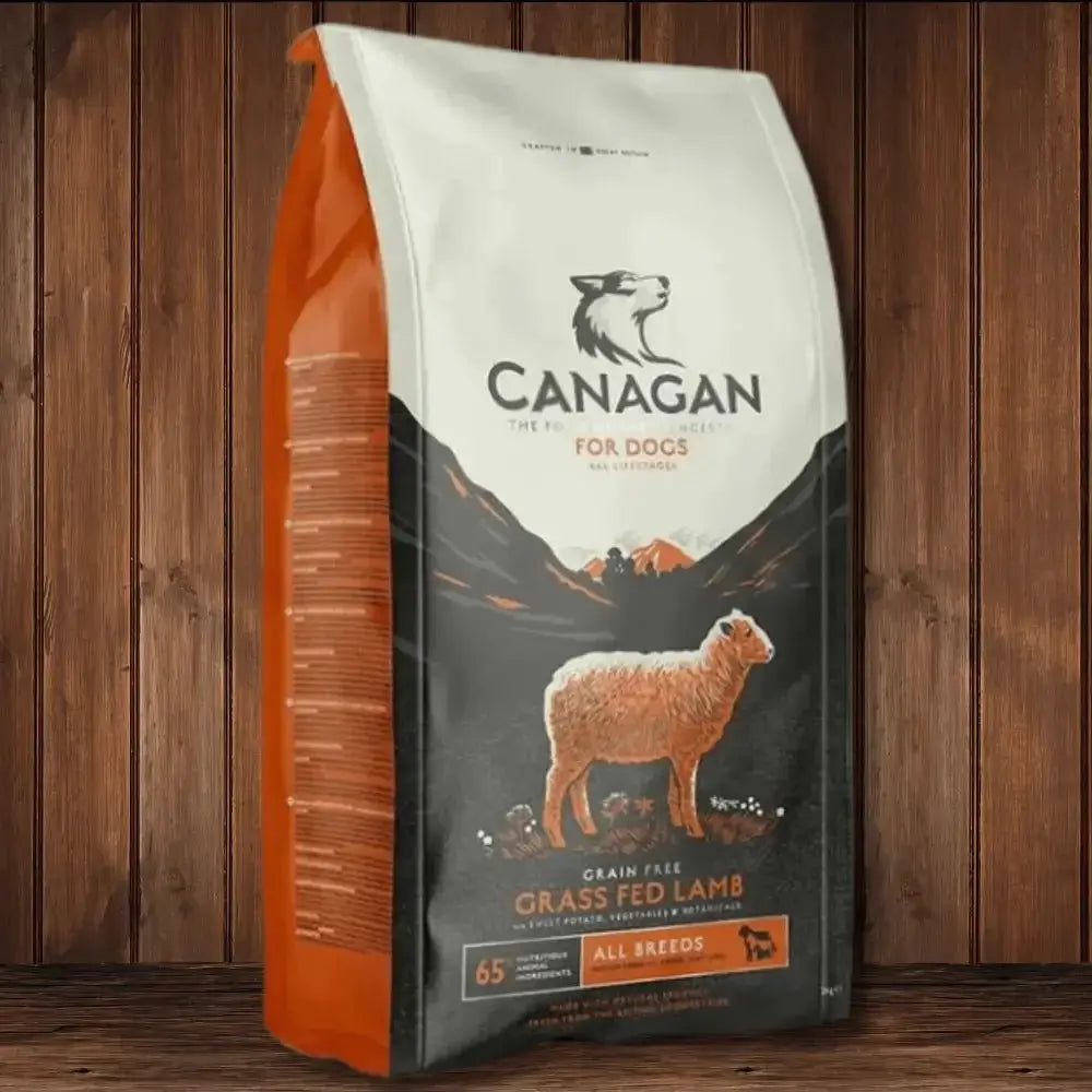 Canagan grain-free grass-fed lamb dog food bag for healthy, natural dog food options