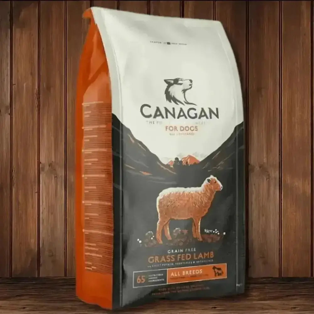 Canagan grain-free grass-fed lamb dog food bag for healthy, natural dog food options