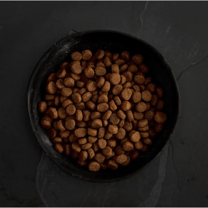 Canagan Dry Dog Food Highland Feast | Natural Dry Dog Food