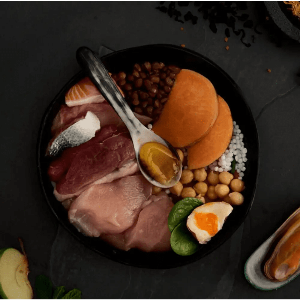 Canagan Highland Feast black bowl with assorted foods and utensils
