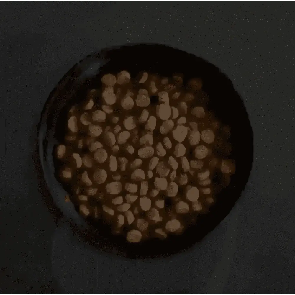Canagan Highland Feast brown dog food in black bowl, carefully formulated
