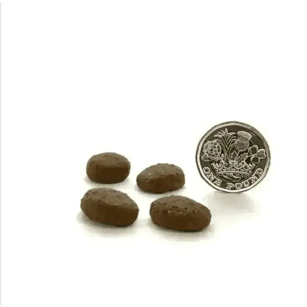 Canagan Highland Feast brown dog treats with pound coin for scale