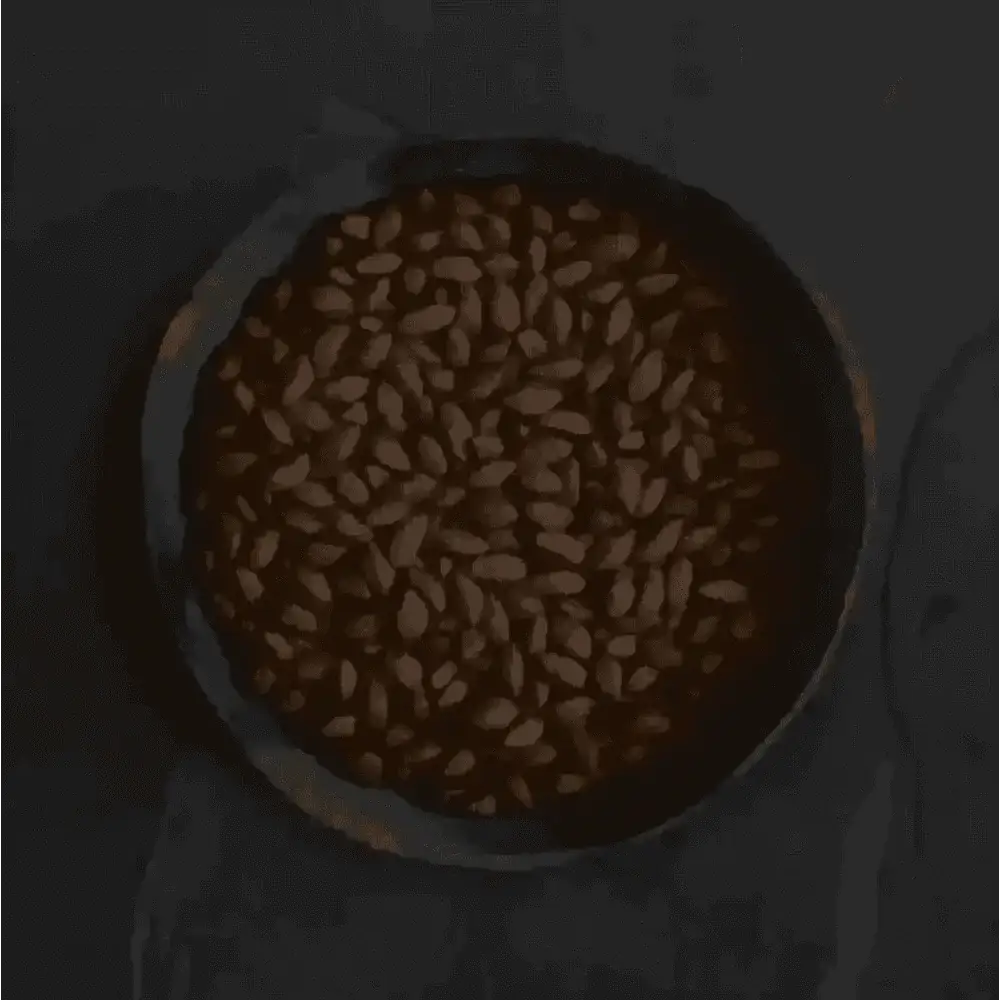 Dark brown soldier fly larvae seeds in Canagan dry dog food bowl