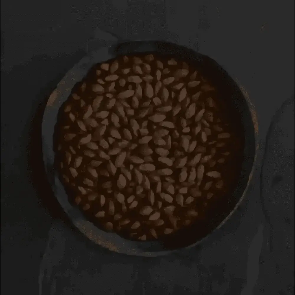 Dark brown soldier fly larvae seeds in Canagan dry dog food bowl