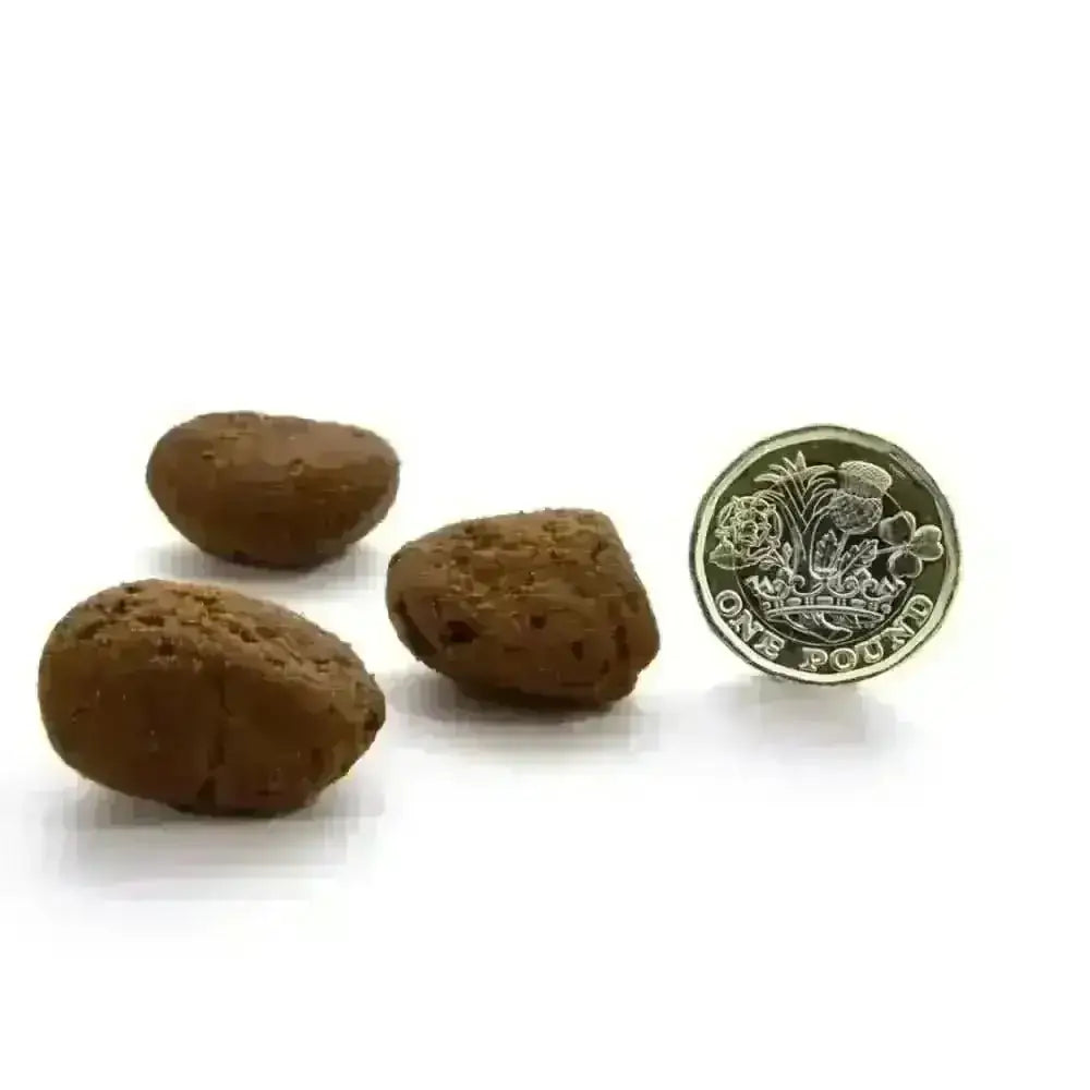 Canagan Dry Free-Range Chicken Brown Almond-Shaped Dog Treats