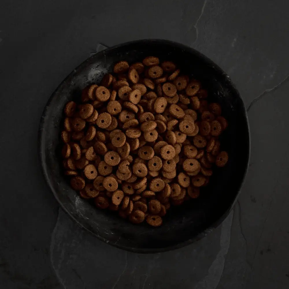 Orange circular snack chips in black bowl from Canagan dry dog food light senior with sulphate monohydrate